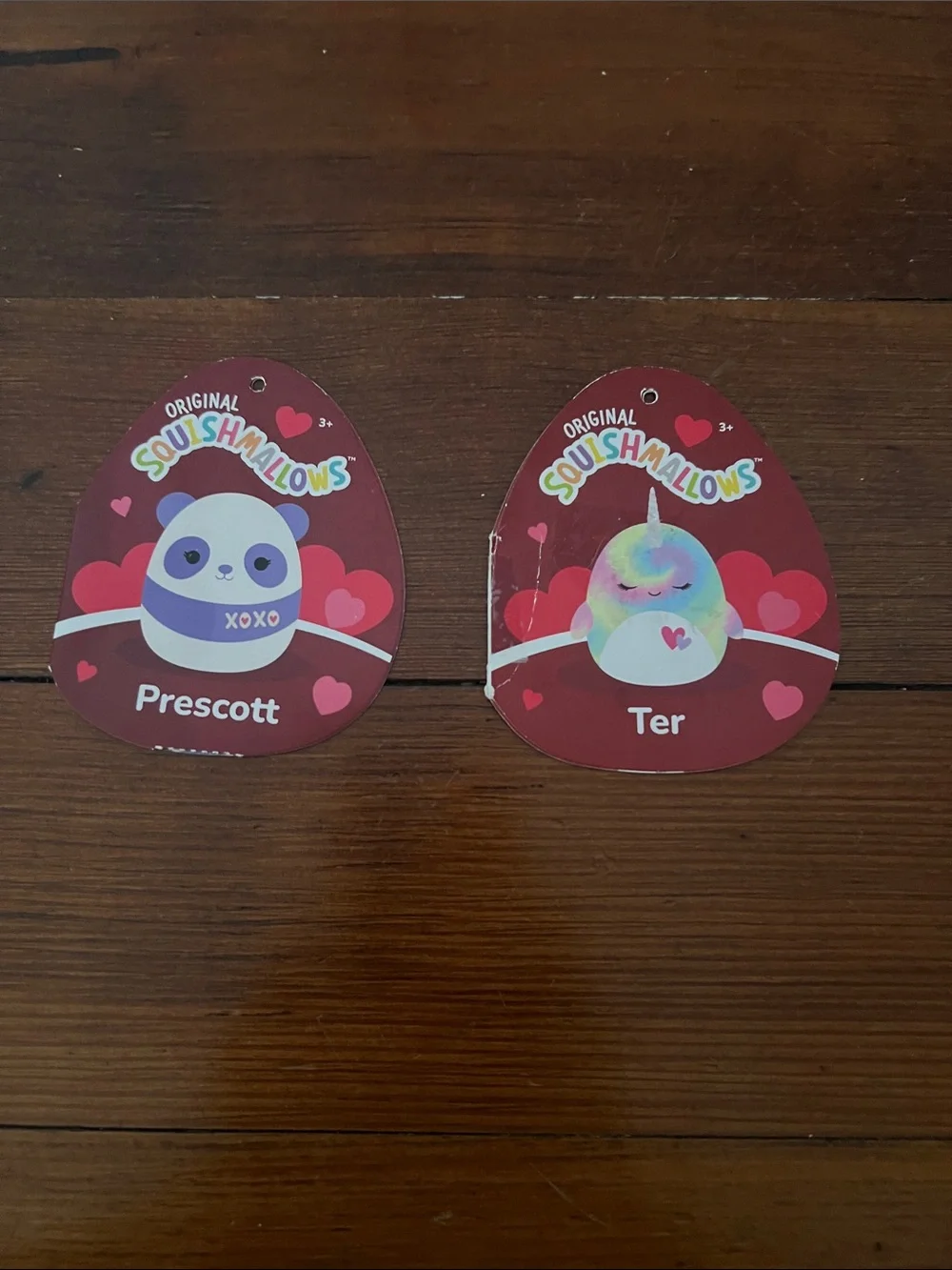 Two Valentine’s Day Squishmallows Prescott and Ter
